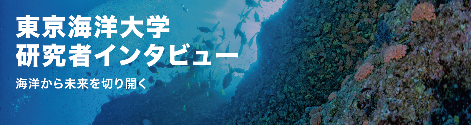 研究者インタビューはこちら